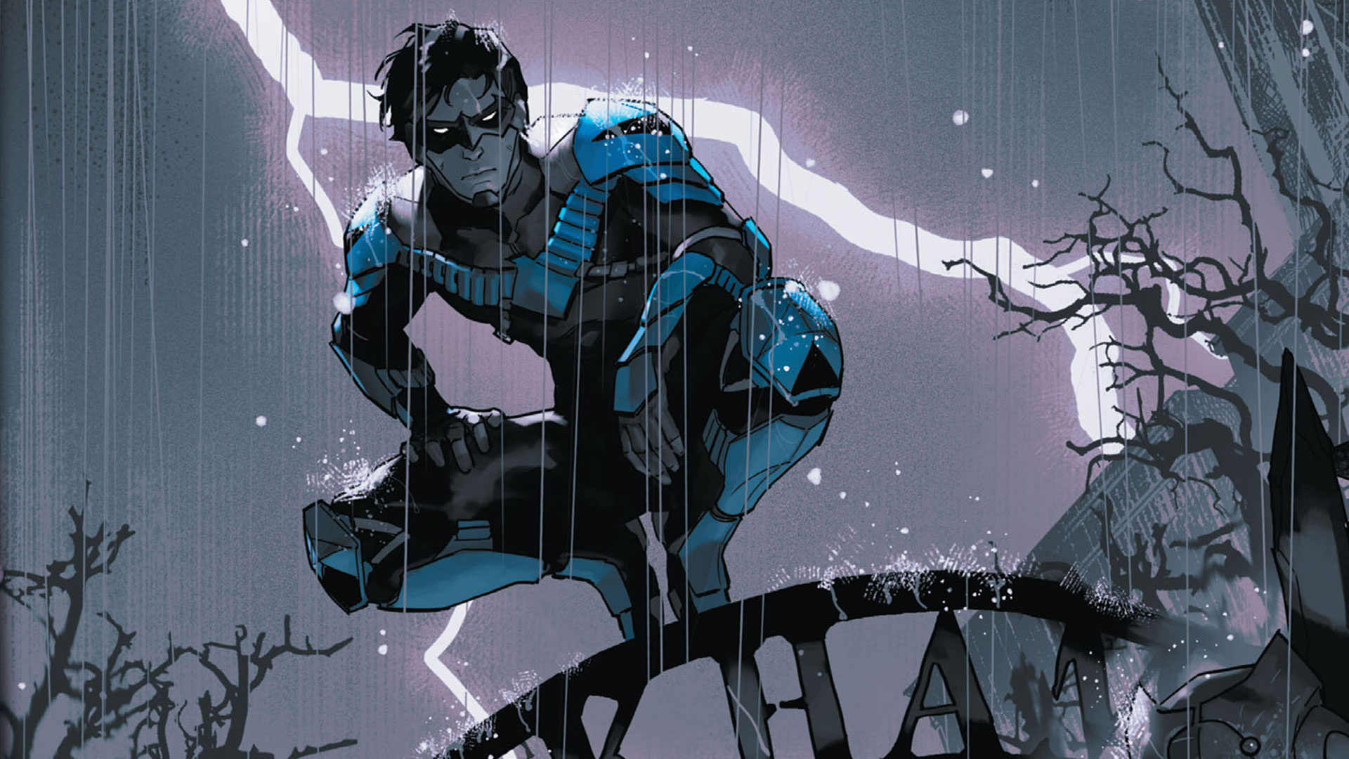 Now, Nightwing has taken on the mission of keeping the citizens of Gotham C...