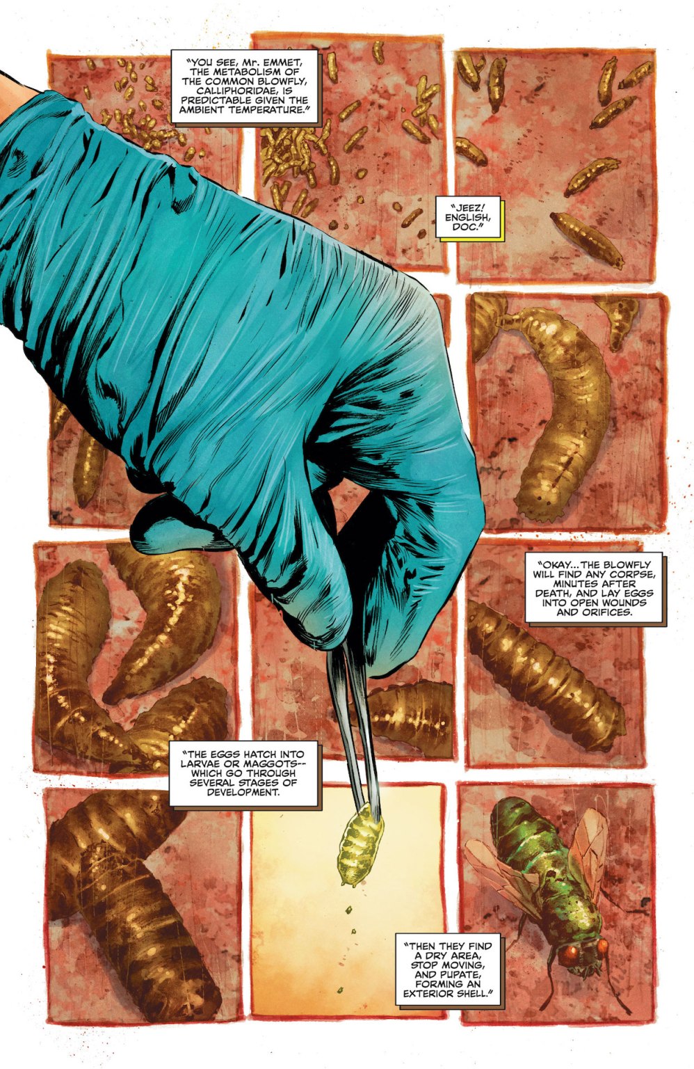 The Swamp Thing #1 preview